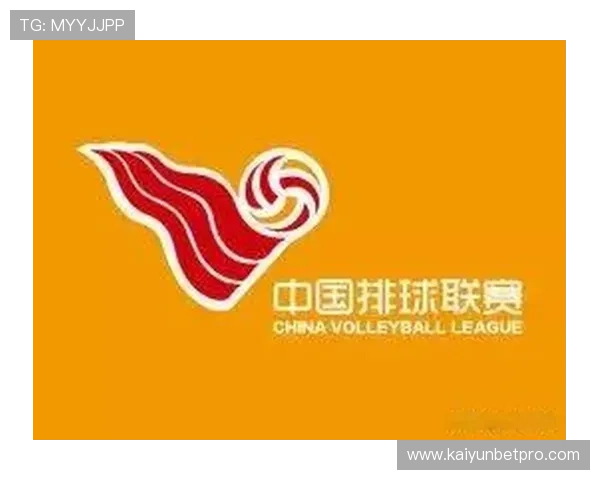 重庆超级联赛全明星球队名单及实力分析揭秘